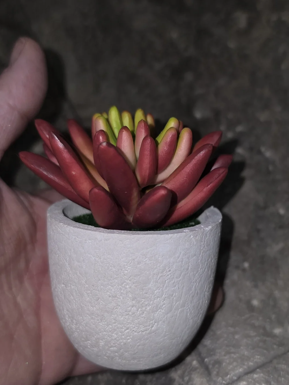 N/A artificial succulent